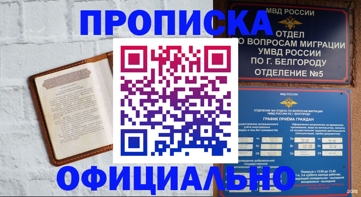 временная регистрация для школы в Новом Осколе